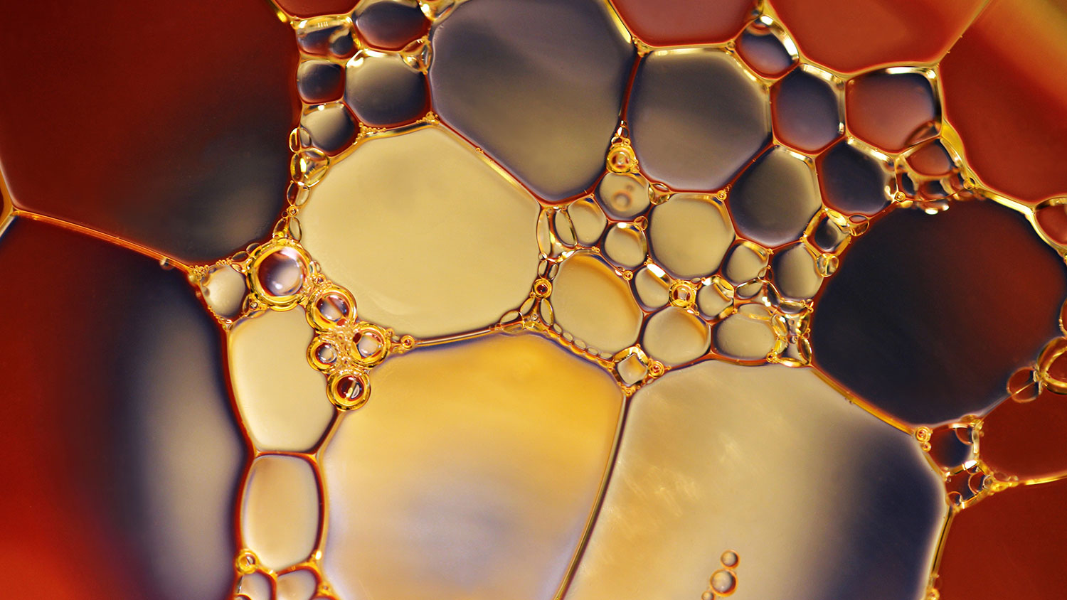 Chemical Bath and Process Control RBP Chemical Technology